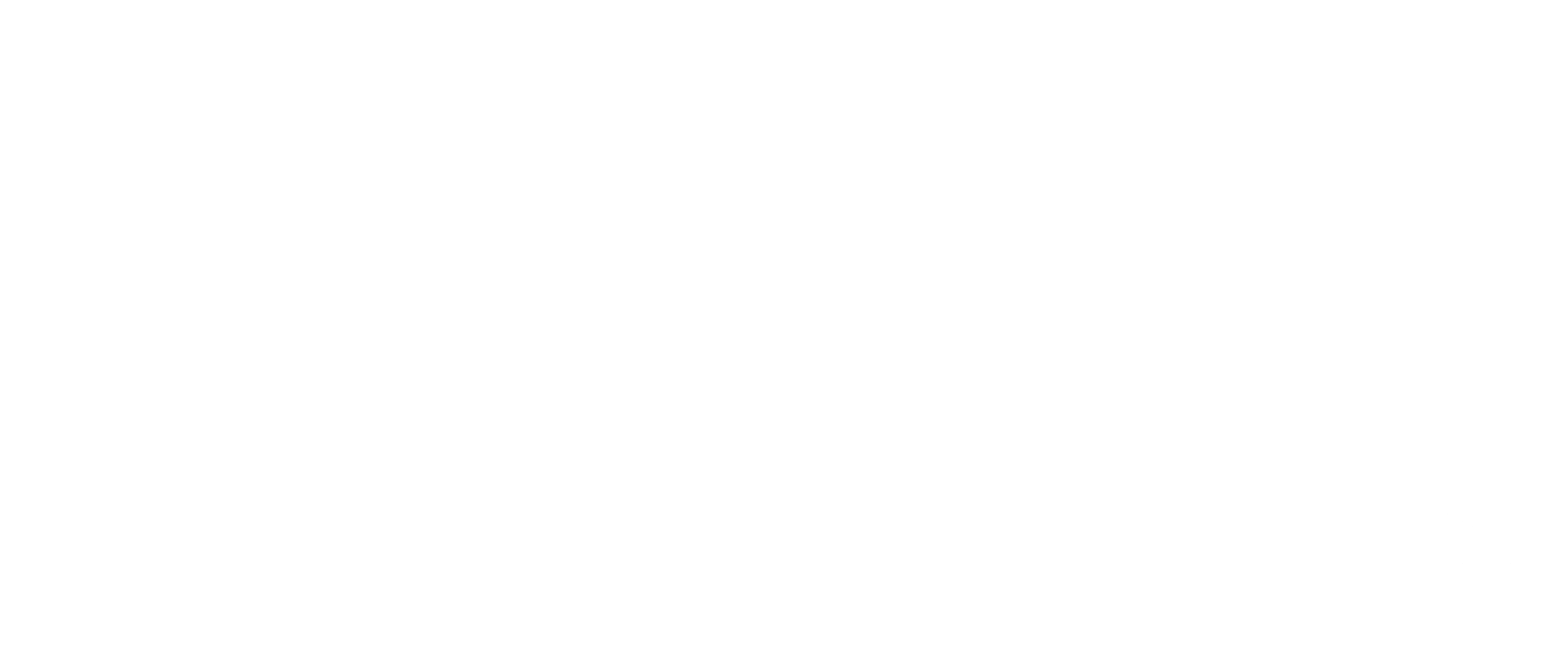 OctoPlus Window Cleaning logo